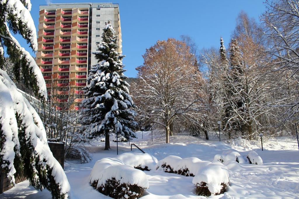 Familien Apartmenthotel Panoramic Hotel Bad Lauterberg
